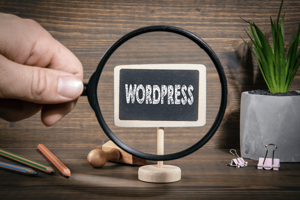 WordPress for Your Website